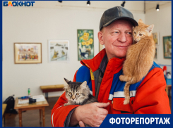  Акция Выставочного зала помогла котикам обрести дома