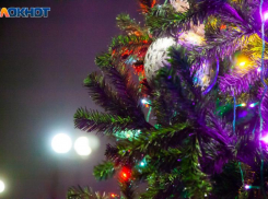 В Волжском перестали покупать новогодние елки