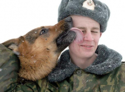 Большинство призывников из Волжского служат в сухопутных войсках