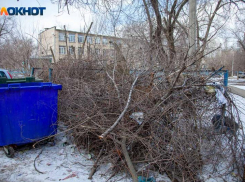 Жители Волжского начали судиться за уборку годовой свалки спиленных веток во дворах