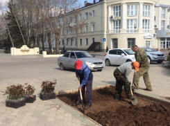 70 кустов роз высадили в Волжском у мемориала Первостроителей