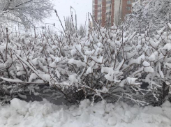 Ветер, снег и «минус» в пятницу обещают синоптики