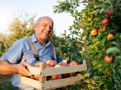 Самое время для посадки! Открыта выставка-продажа саженцев деревьев и кустарников
