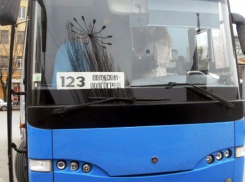 В Волгограде конечную 123 автобуса вернут на прежнее место