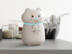 Советы от «Блокнота»: Выбираем увлажнитель воздух