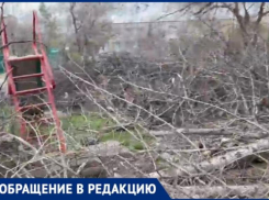 Детская площадка тонет в ветках, жители ждут нашествие крыс: история двора в Волжском