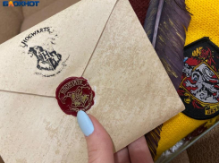 Из Волжского в Хогвартс! Волшебный квест проведут в парке Гидростроитель (6+)