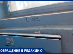 «Пауки стали хозяевами»: жители волжского поселка Рабочий обвиняют УК в тотальной антисанитарии
