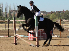 Шашлыки, горячий чай и фотозону решили организовать для зрителей конно-спортивных скачек в Волжском