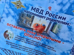 Москитная ловушка: очередная трагедия с ребенком в Волгоградской области