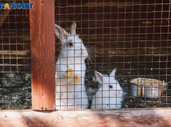 Есть надежда на дождь: погода в субботу