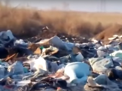 Кладбище битых унитазов сняла на видео волжанка по дороге в школу  