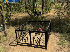 Человеческую могилу нашли посреди города в Волжском