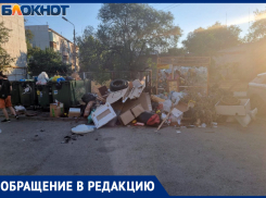 Итоги работы Экоцентра в Волжском на примере одного из мусорных баков