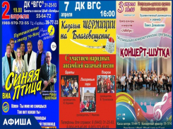 Синяя птица, Концерт-шутка и Благовещение: на что посмотреть в Волжском