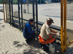 В Волжском разбили полтора десятка остановок: одно стекло обходится в кругленькую сумму