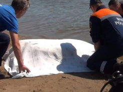 Отдых на диком пляже завершился гибелью волжанина