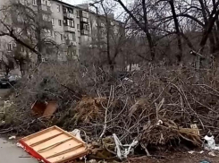«К мусорке не пройти», - волжанка о дворе, заваленном сухими ветками