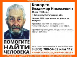 В Волжском третий день ищут без вести пропавшего пенсионера 