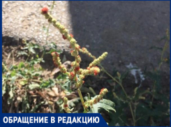 «Мы очень испугались», - волжанка