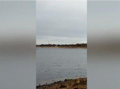 В Волжском учения на острове Зеленый попали на видео