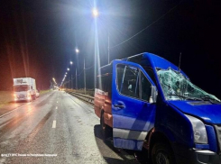 В смертельном ДТП под Калмыкией погибли четверо жители Волгоградской области: комментарий облздрава