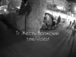 Похитительница цветов разорила клумбу а ЗАГСа в Волжском: видео