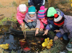 В Волгоградской области автоматически продлят выплату на первого ребенка