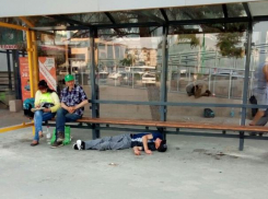 Спящая красавица появилась на остановке в Волжском