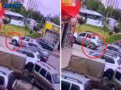 Почти половина опрошенных волжан считают, что мужчину задавившего пса не надо наказывать