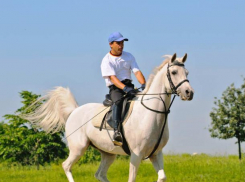 В понедельник волжан ожидает переменная погода