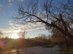 Тепло и солнечно: погода в воскресенье радует