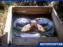 Удивительный святой источник спрятан от любопытных глаз в Волжском