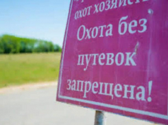 Житель региона наказан за охоту без разрешения