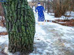 Как Дед Мороз убежал от фотографа «Блокнота Волжского»