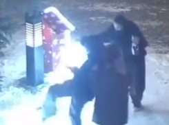 В Волжском три девушки устроили «ночной погром» в праздничном сквере