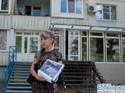 Незаконная вырубка деревьев в Волжском не осталась безнаказанной