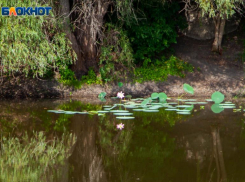 Лето жжет: прогноз погоды на среду в Волжском