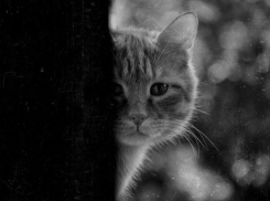 Грустишь в обед???