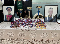 В Волжском прошел региональный турнир по каратэ, посвященный героям СВО