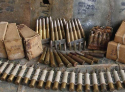 Более семисот боеприпасов волжанин хранил на даче