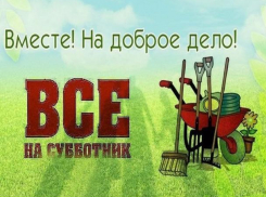 В помощь братьям нашим меньшим волжан приглашают на субботник