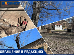 «Ветка разбила лобовое стекло, а на площадке шприцы и прокладки»: волжанка о проблемах во дворе