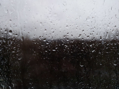 Облачность и осадки обещают синоптики в пятницу