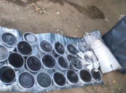 В Волгограде задержание москвича с чемоданом черной икры попало на видео