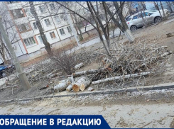 Волжский захлестнула новая волна свалок сухостоя и веток во дворах
