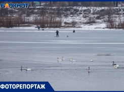 На тонком льду: как птицы и рыбаки проводят зиму на Ахтубе