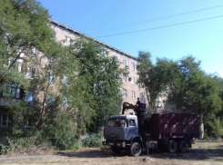 Более тысячи кубических метров сухостоя вывезли из волжских дворов  