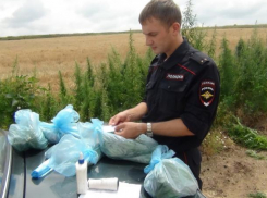 В Волжском ведется борьба с распространением наркотиков