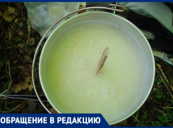 Детей кормят «кирпичами»: волжанка жалуется на питание в деском саду